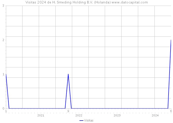 Visitas 2024 de H. Smeding Holding B.V. (Holanda) 