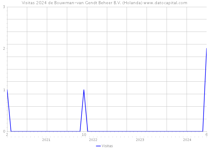 Visitas 2024 de Bouwman-van Gendt Beheer B.V. (Holanda) 