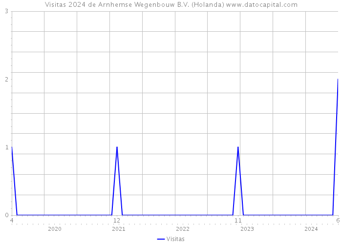 Visitas 2024 de Arnhemse Wegenbouw B.V. (Holanda) 