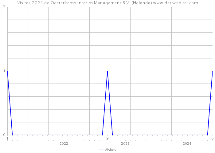 Visitas 2024 de Oosterkamp Interim Management B.V. (Holanda) 