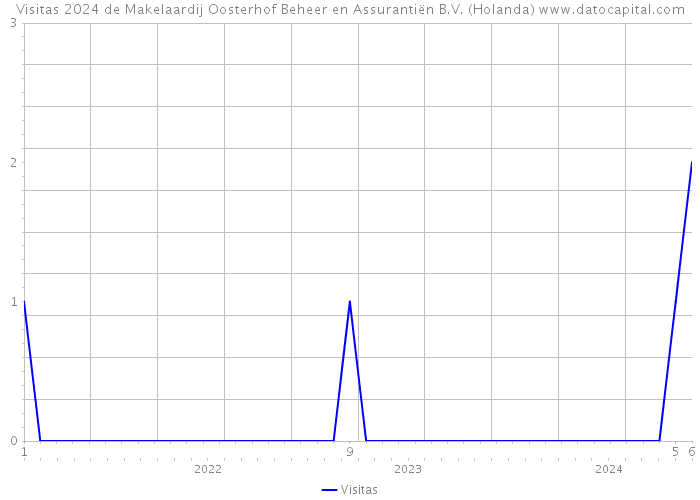 Visitas 2024 de Makelaardij Oosterhof Beheer en Assurantiën B.V. (Holanda) 