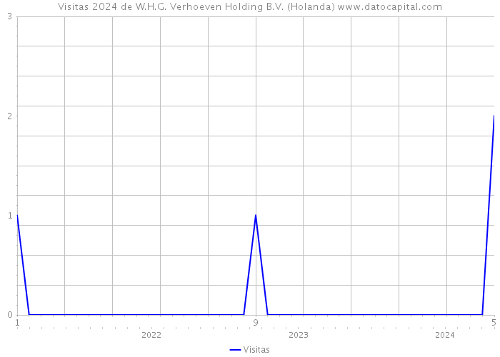 Visitas 2024 de W.H.G. Verhoeven Holding B.V. (Holanda) 
