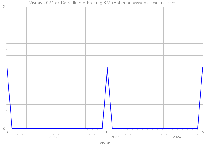 Visitas 2024 de De Kulk Interholding B.V. (Holanda) 