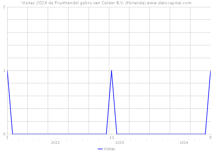 Visitas 2024 de Fruithandel gebrs.van Gelder B.V. (Holanda) 