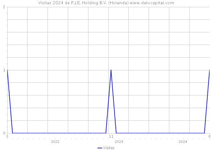 Visitas 2024 de P.J.E. Holding B.V. (Holanda) 