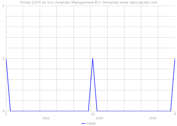 Visitas 2024 de Vos Verander Management B.V. (Holanda) 