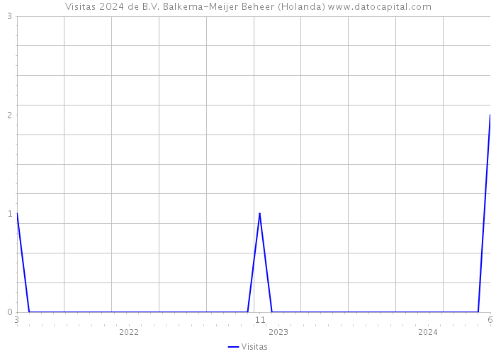 Visitas 2024 de B.V. Balkema-Meijer Beheer (Holanda) 