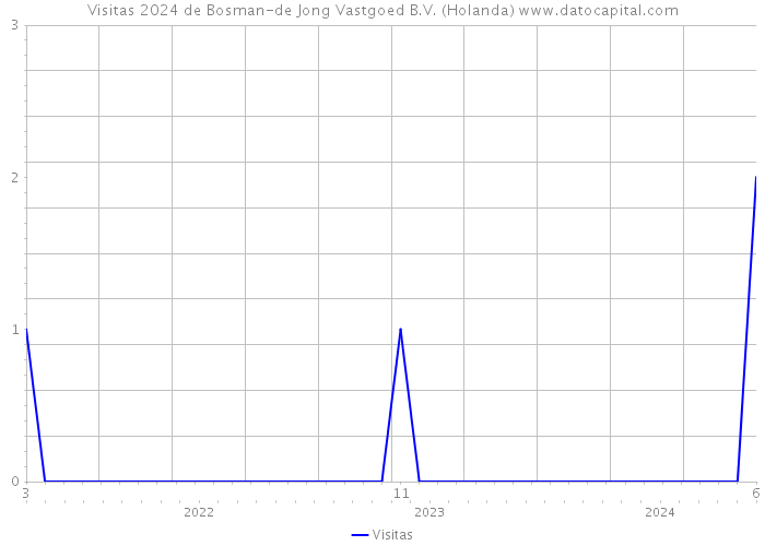 Visitas 2024 de Bosman-de Jong Vastgoed B.V. (Holanda) 