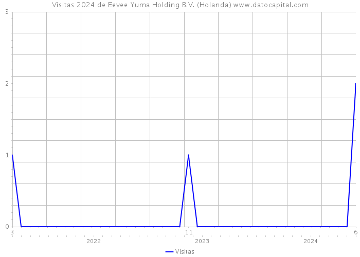 Visitas 2024 de Eevee Yuma Holding B.V. (Holanda) 