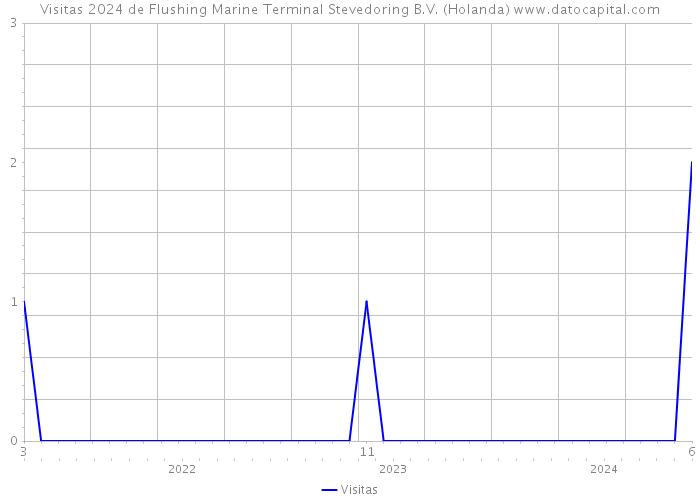 Visitas 2024 de Flushing Marine Terminal Stevedoring B.V. (Holanda) 