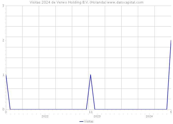 Visitas 2024 de Verwo Holding B.V. (Holanda) 