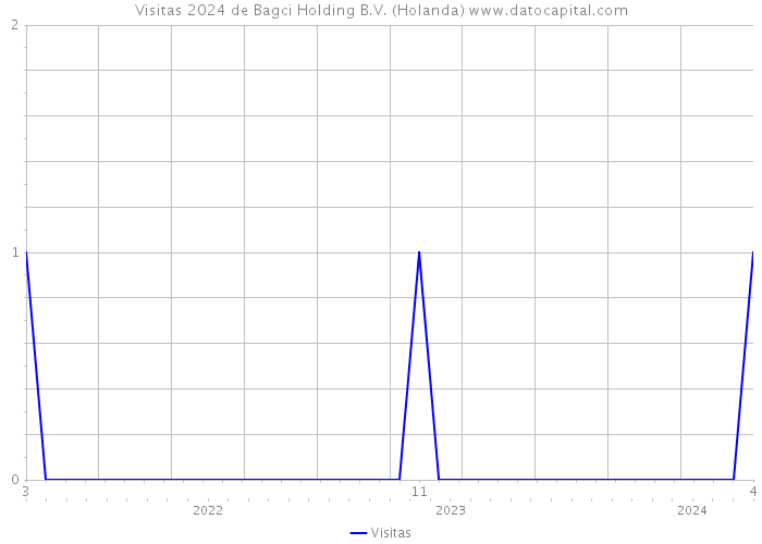 Visitas 2024 de Bagci Holding B.V. (Holanda) 