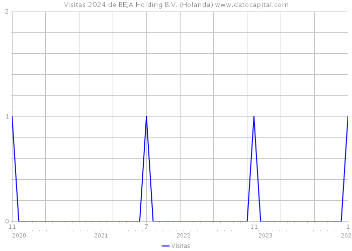 Visitas 2024 de BEJA Holding B.V. (Holanda) 