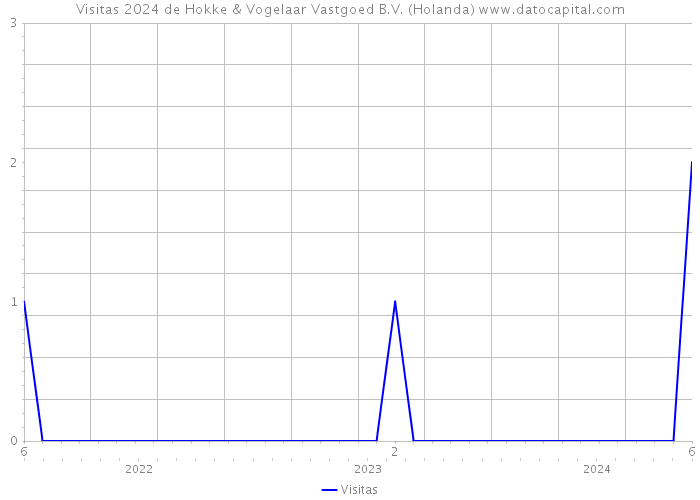 Visitas 2024 de Hokke & Vogelaar Vastgoed B.V. (Holanda) 