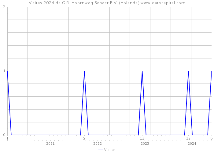 Visitas 2024 de G.R. Hoornweg Beheer B.V. (Holanda) 