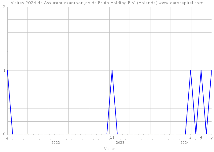 Visitas 2024 de Assurantiekantoor Jan de Bruin Holding B.V. (Holanda) 