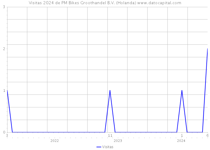 Visitas 2024 de PM Bikes Groothandel B.V. (Holanda) 