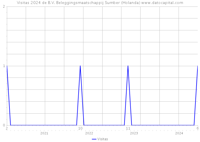 Visitas 2024 de B.V. Beleggingsmaatschappij Sumber (Holanda) 