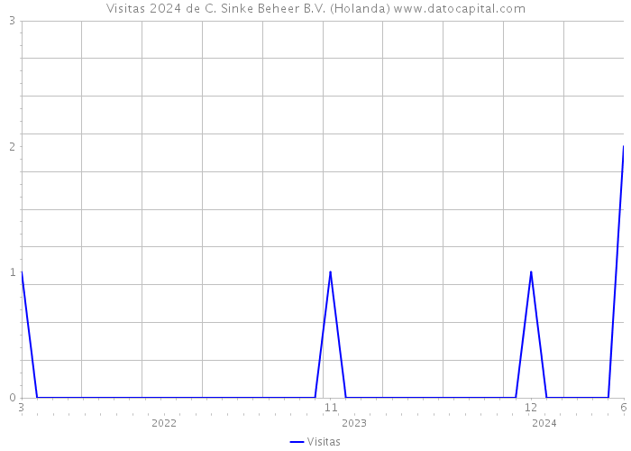 Visitas 2024 de C. Sinke Beheer B.V. (Holanda) 