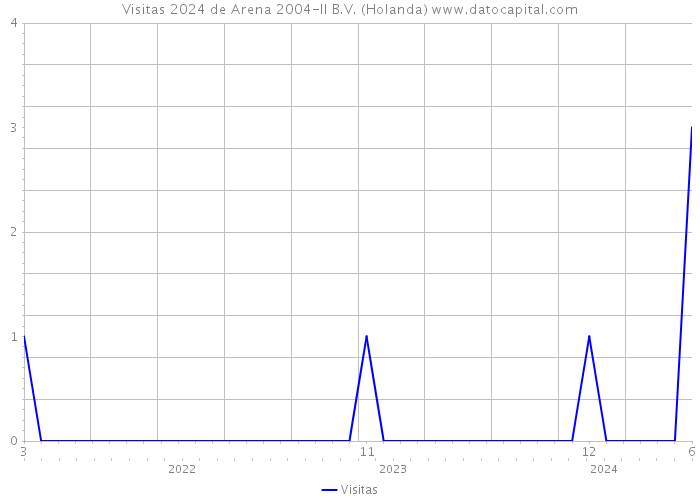 Visitas 2024 de Arena 2004-II B.V. (Holanda) 