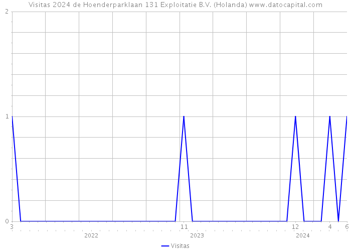 Visitas 2024 de Hoenderparklaan 131 Exploitatie B.V. (Holanda) 