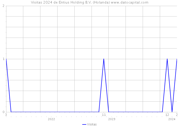Visitas 2024 de Entius Holding B.V. (Holanda) 