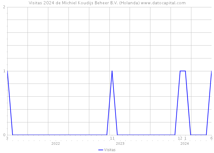 Visitas 2024 de Michiel Koudijs Beheer B.V. (Holanda) 