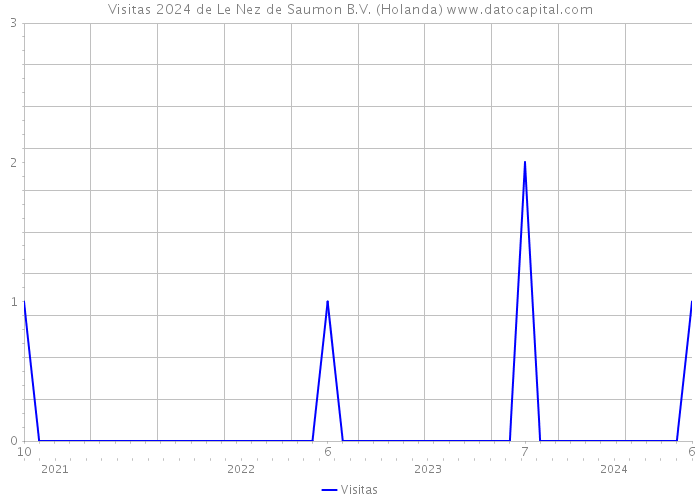 Visitas 2024 de Le Nez de Saumon B.V. (Holanda) 