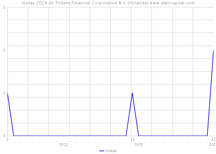 Visitas 2024 de Trident Financial Corporation B.V. (Holanda) 