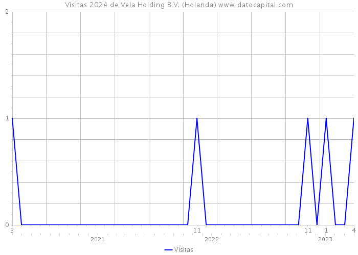 Visitas 2024 de Vela Holding B.V. (Holanda) 