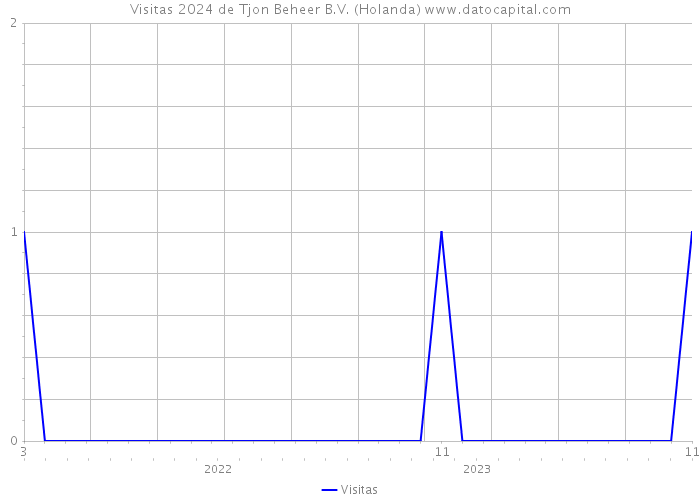 Visitas 2024 de Tjon Beheer B.V. (Holanda) 