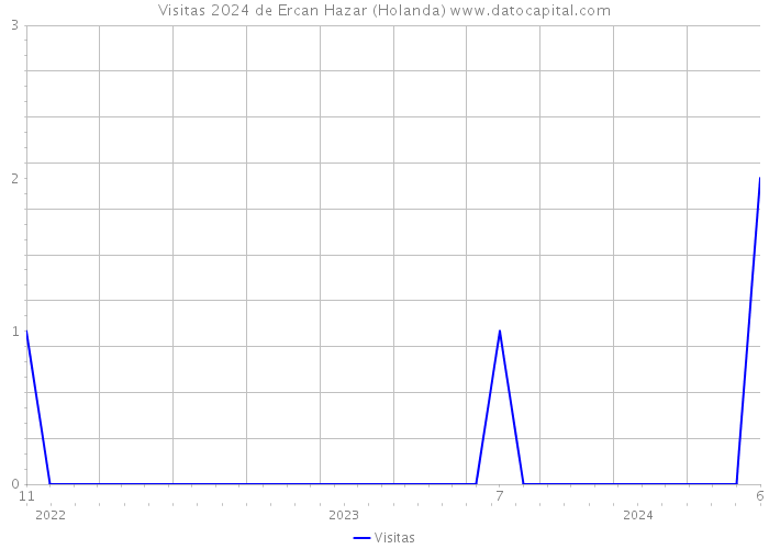 Visitas 2024 de Ercan Hazar (Holanda) 