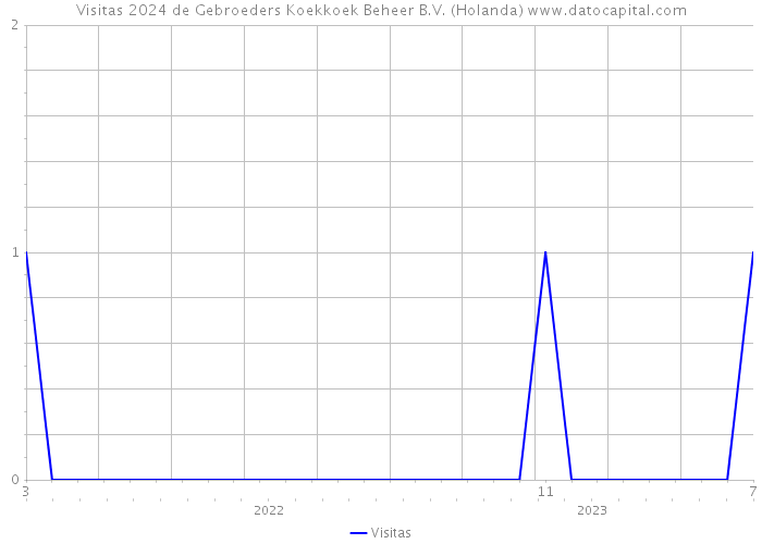 Visitas 2024 de Gebroeders Koekkoek Beheer B.V. (Holanda) 