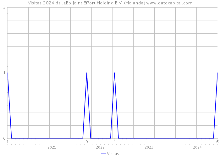 Visitas 2024 de JaBo Joint Effort Holding B.V. (Holanda) 