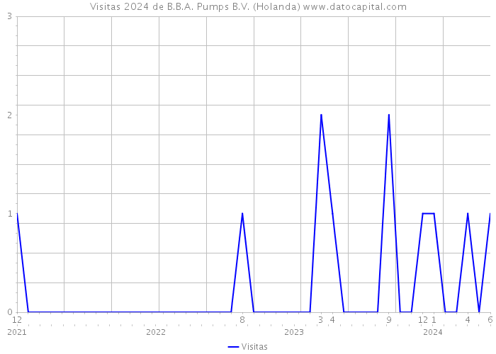 Visitas 2024 de B.B.A. Pumps B.V. (Holanda) 