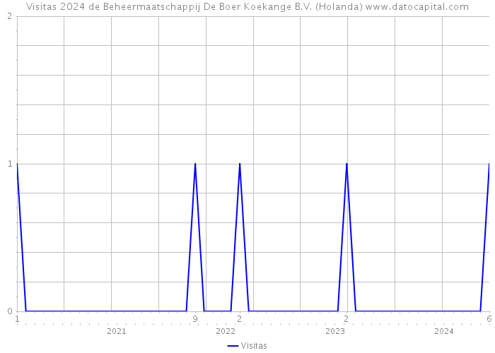 Visitas 2024 de Beheermaatschappij De Boer Koekange B.V. (Holanda) 