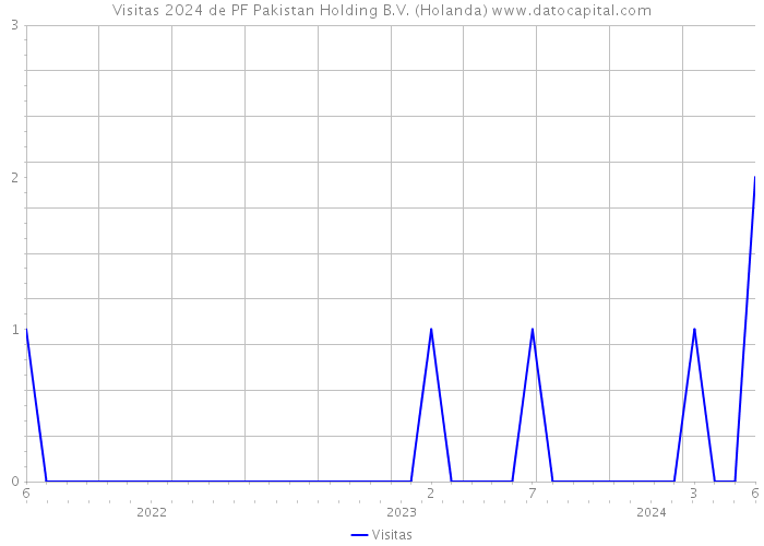 Visitas 2024 de PF Pakistan Holding B.V. (Holanda) 