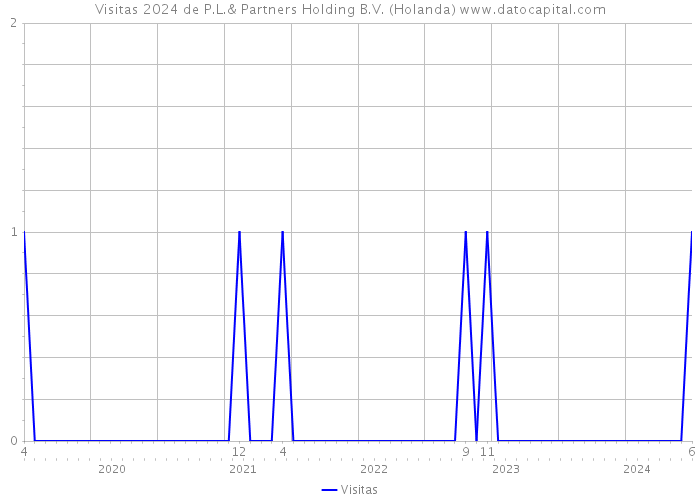 Visitas 2024 de P.L.& Partners Holding B.V. (Holanda) 