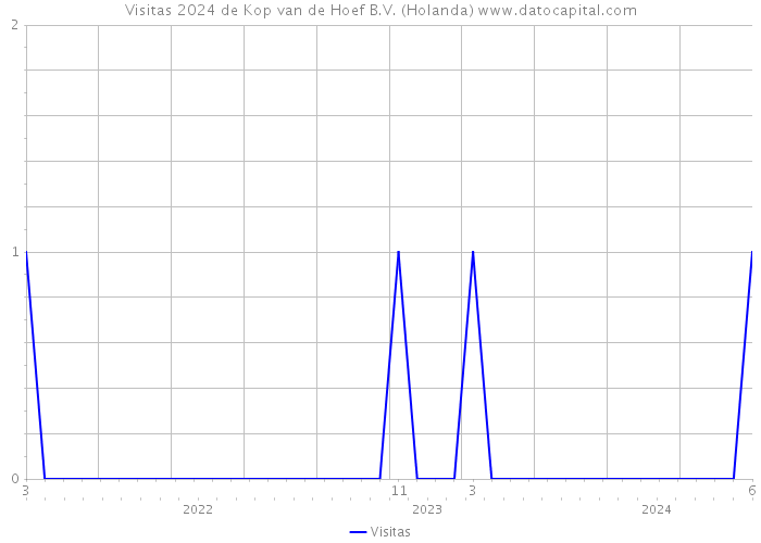 Visitas 2024 de Kop van de Hoef B.V. (Holanda) 