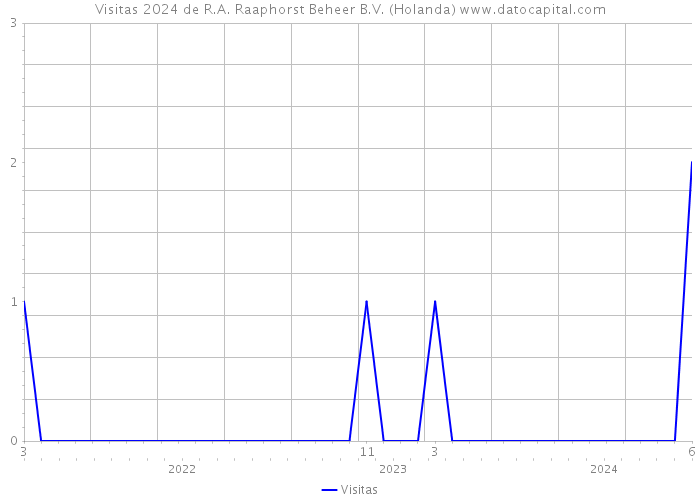 Visitas 2024 de R.A. Raaphorst Beheer B.V. (Holanda) 