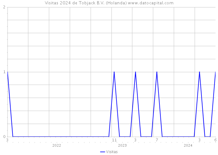 Visitas 2024 de Tobjack B.V. (Holanda) 