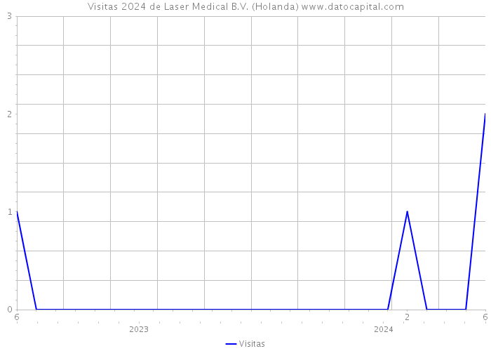 Visitas 2024 de Laser Medical B.V. (Holanda) 