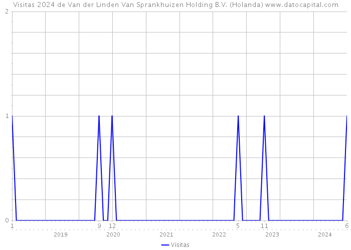 Visitas 2024 de Van der Linden Van Sprankhuizen Holding B.V. (Holanda) 