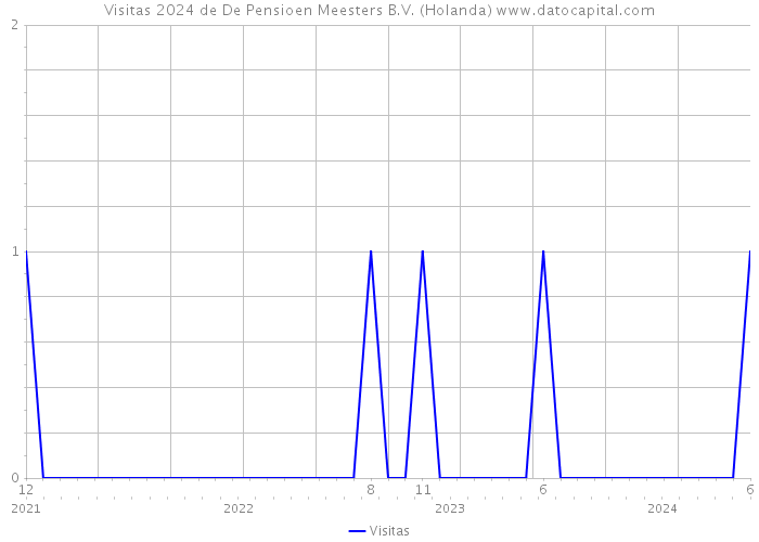 Visitas 2024 de De Pensioen Meesters B.V. (Holanda) 