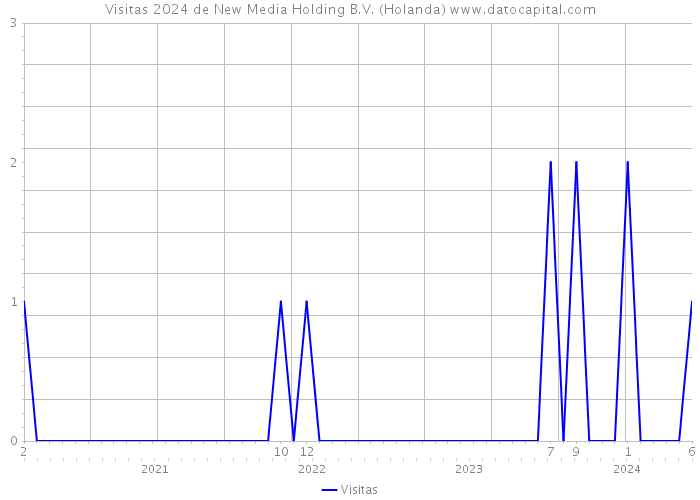 Visitas 2024 de New Media Holding B.V. (Holanda) 