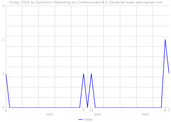 Visitas 2024 de Gussekloo Marketing en Communicatie B.V. (Holanda) 