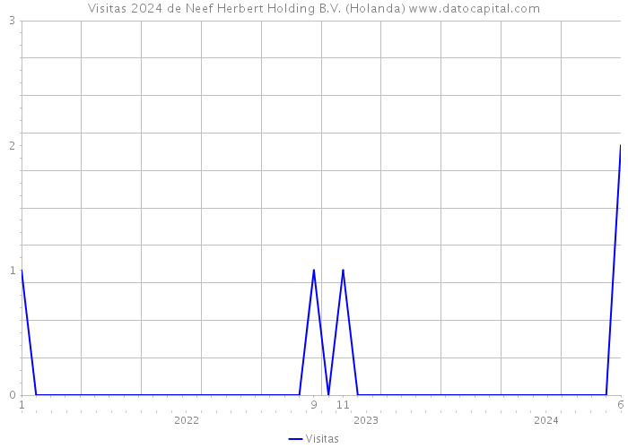 Visitas 2024 de Neef Herbert Holding B.V. (Holanda) 