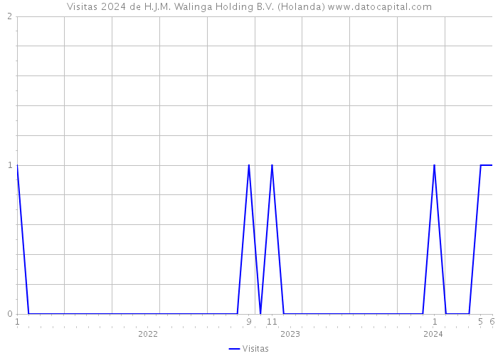 Visitas 2024 de H.J.M. Walinga Holding B.V. (Holanda) 