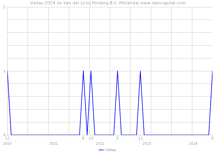 Visitas 2024 de Van der Looij Holding B.V. (Holanda) 