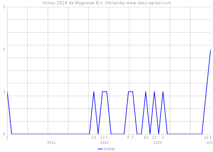 Visitas 2024 de Magnetar B.V. (Holanda) 